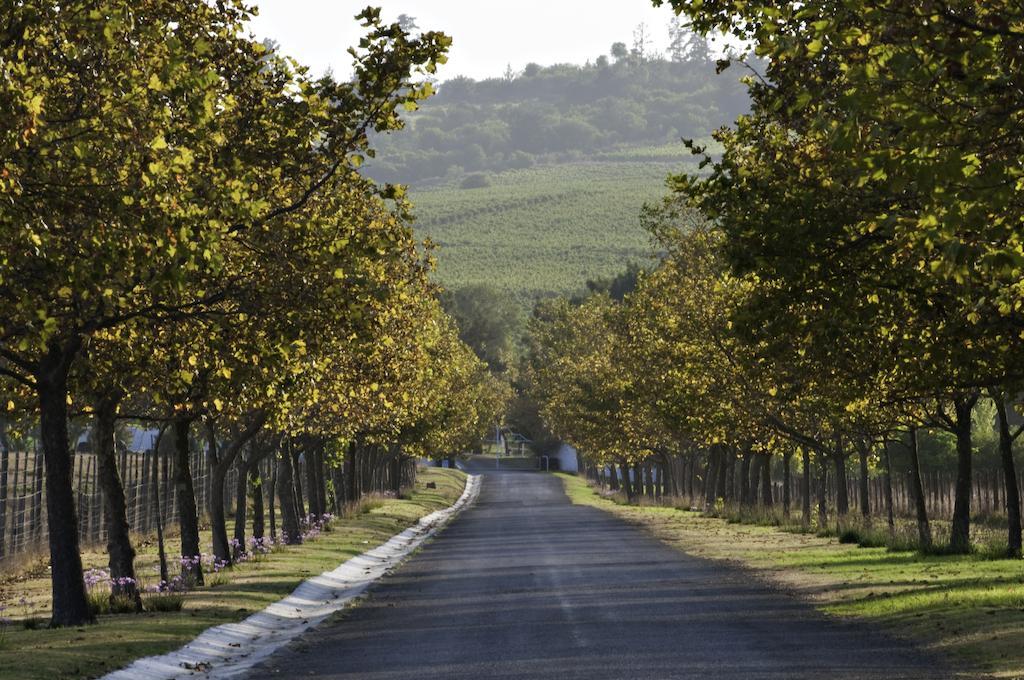 Saxenburg Wine Farm Apartment Kuils River Exterior photo